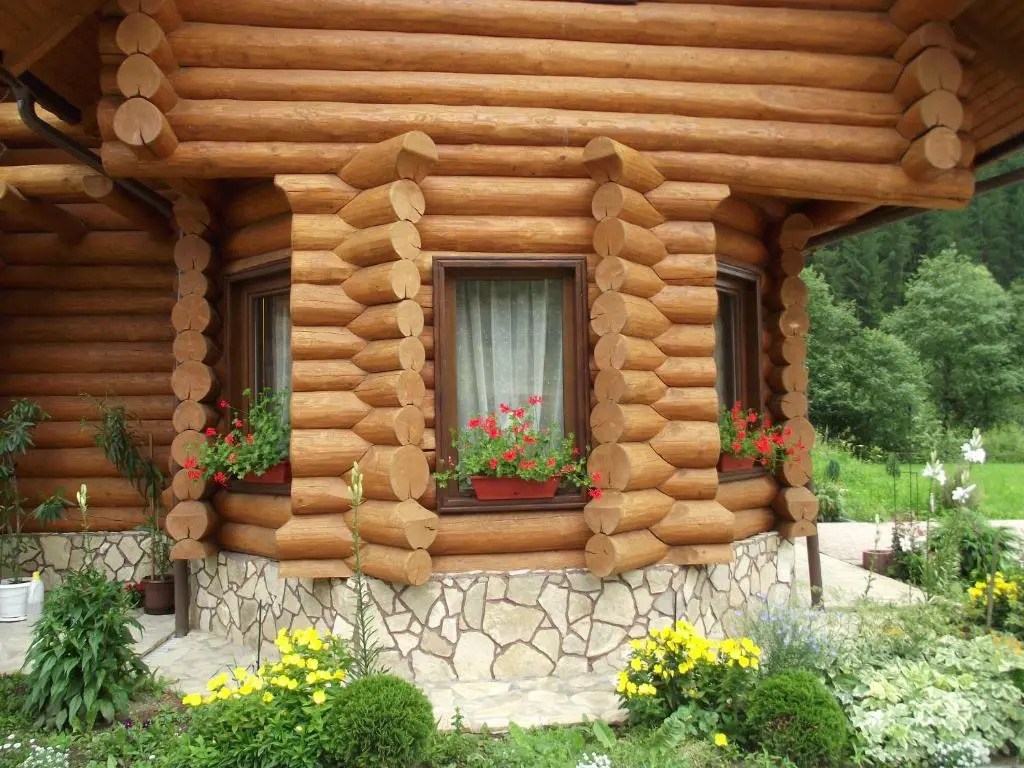 Cabana Piatra Runcului