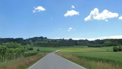 La Volpe E L'uva