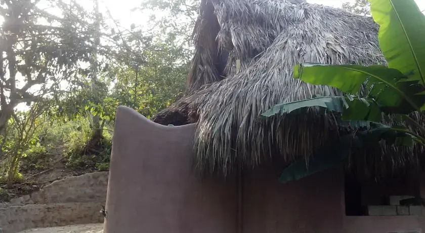 Zamukia