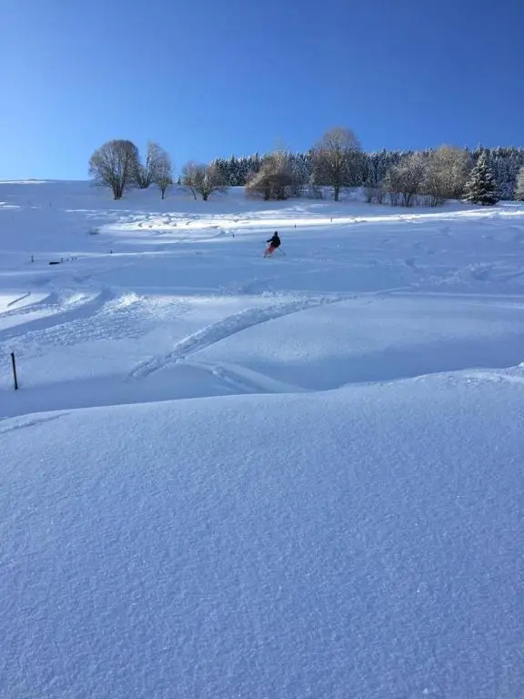 Winter-Nest