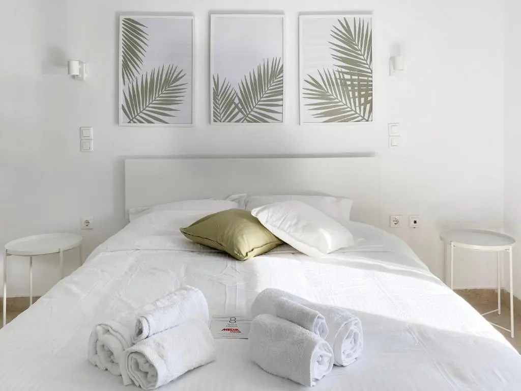 Palm Suite Green