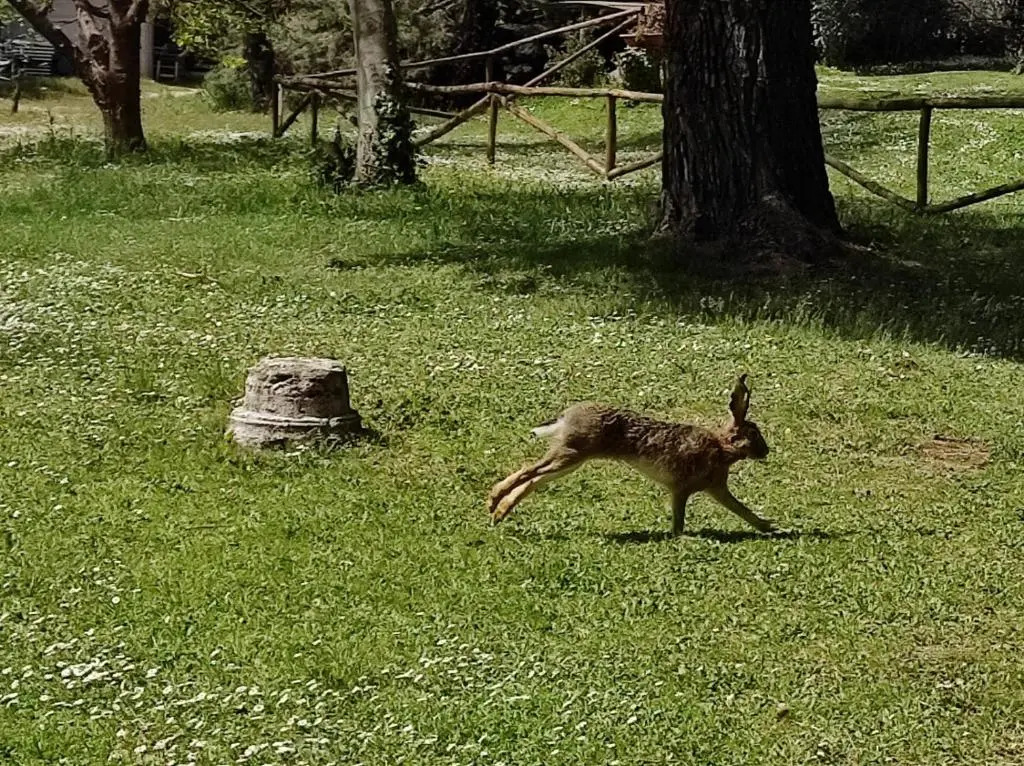 Agriturismo Bio Pian Dei Casali