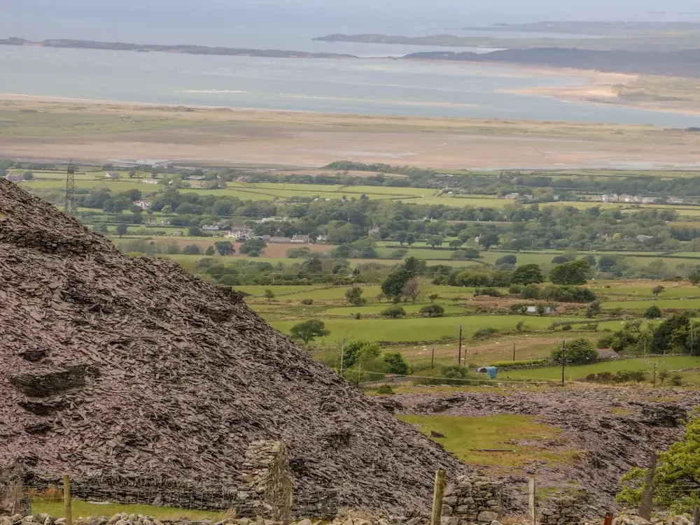 Bryn Derwen