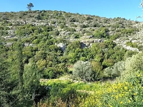 Garden and sea