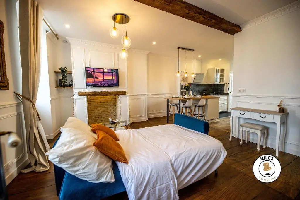 L'Haussmann, Rare, Appartement Vue Château et Palmiers