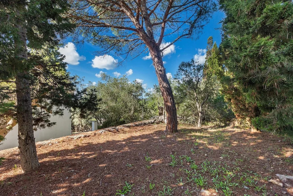 3677 Trullo Foresta Forte by Barbarhouse