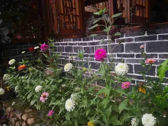Waiting For You at Yunshuiyao Inn