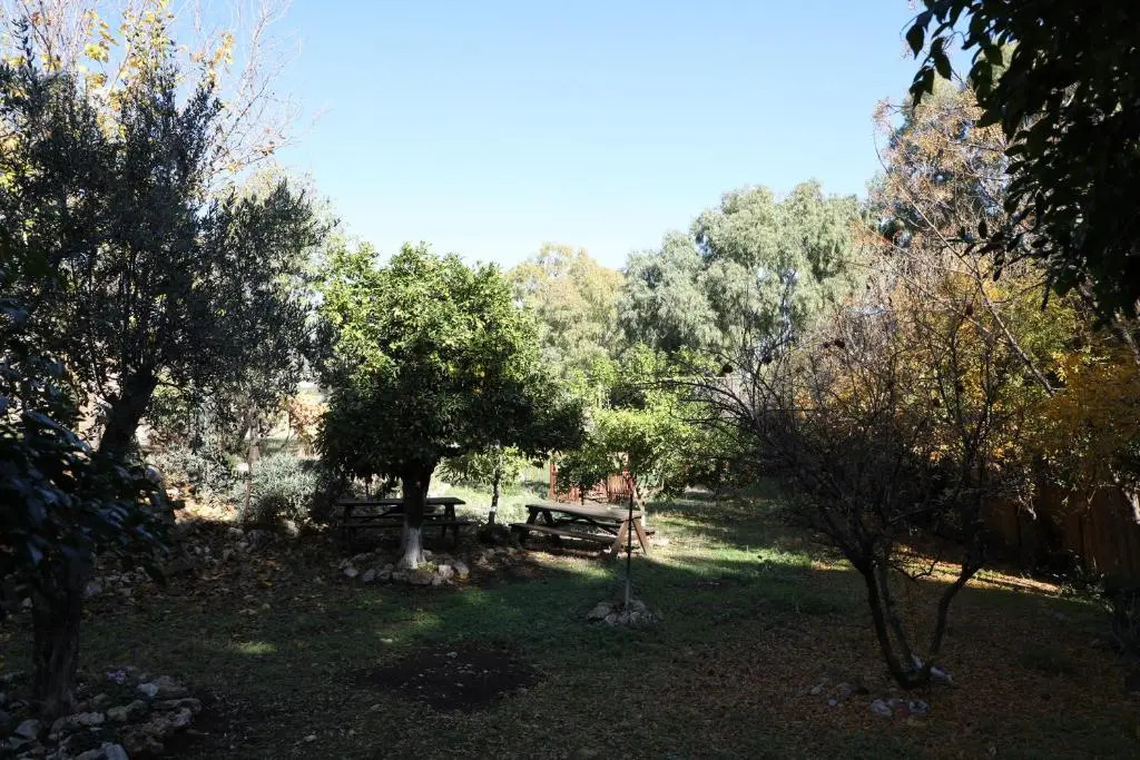 Shulamit Yard