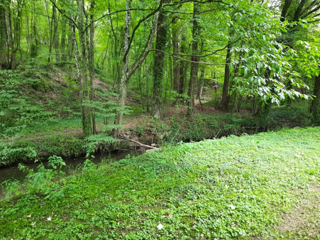 Domaine du Ry d'Ave
