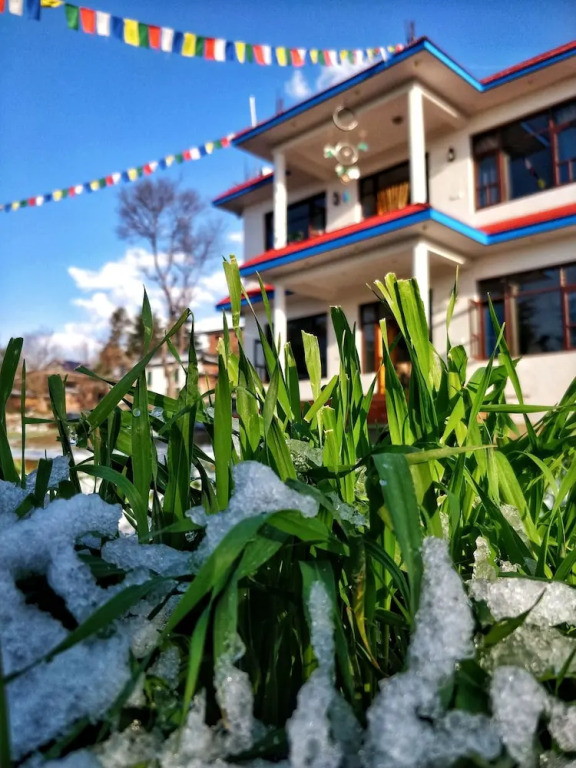 The Bunker Hostel - Dharamkot