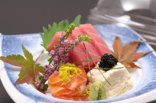 Ryokan Hananoki