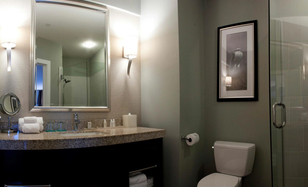 Hotel Indigo Waco by IHG
