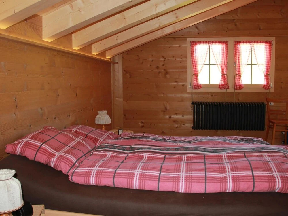 Alphaus Hasler Lenk in Lenk