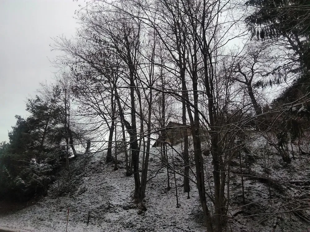 Apartment Jorsi with Mountain View