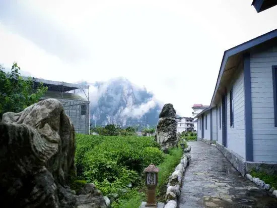 Selenium Tea Ecological Garden