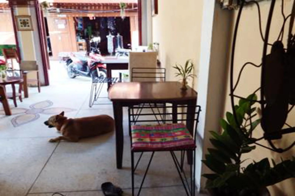 Taya's place