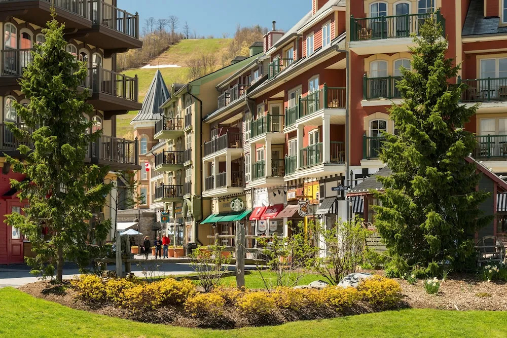 Blue Mountain Resort Home Collection
