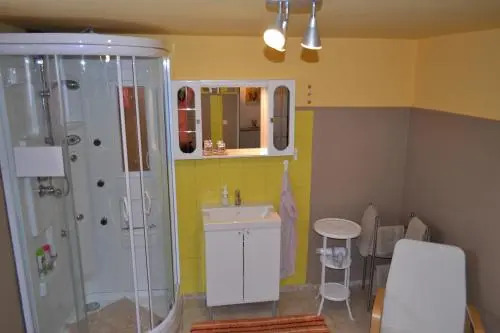 Zimmer Steger