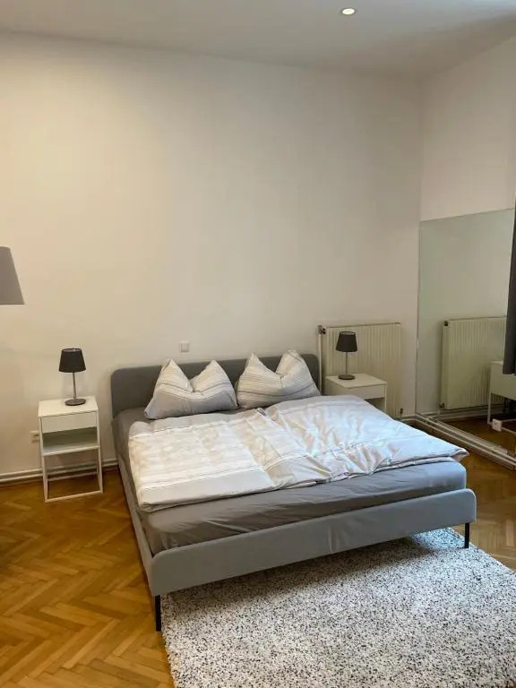 100m2 Apartment Nähe 1010 Wien