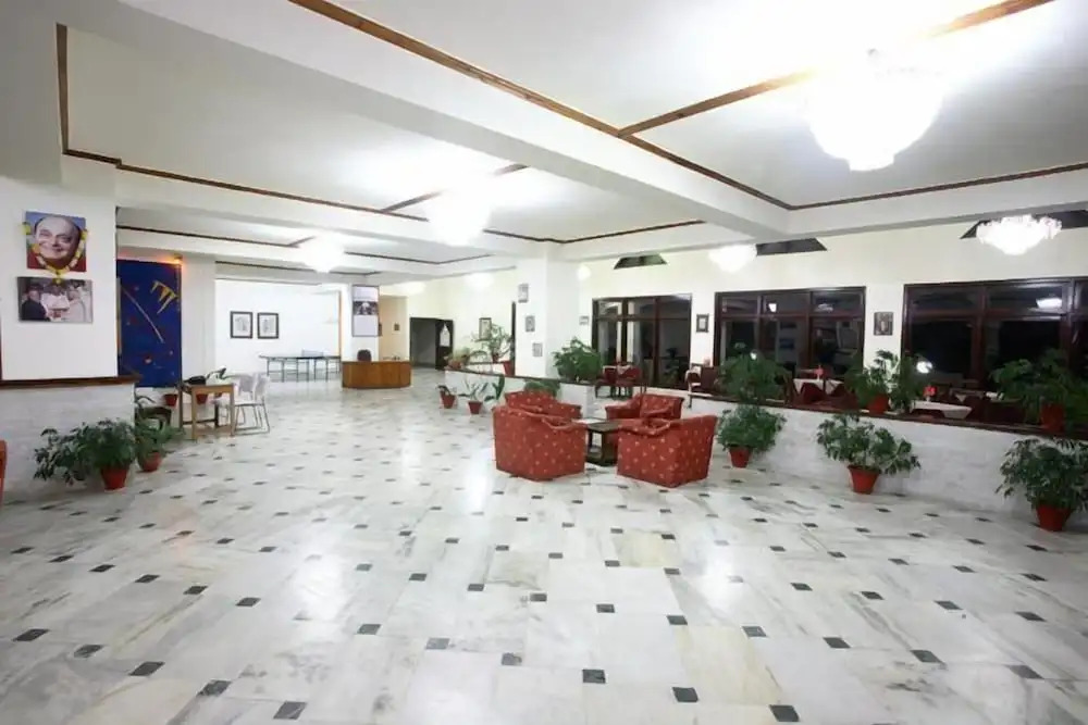 pine rock on the edge