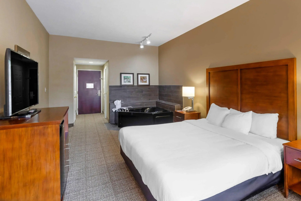 Comfort Inn & Suites Peachtree Corners - Norcross