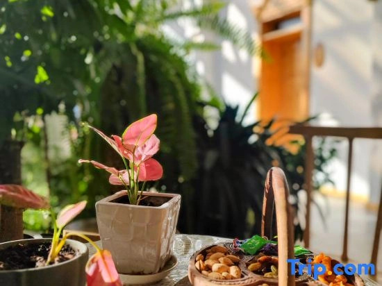 Yundu Huazhai | Senye · Blossom Scenic Courtyard Boutique Stay
