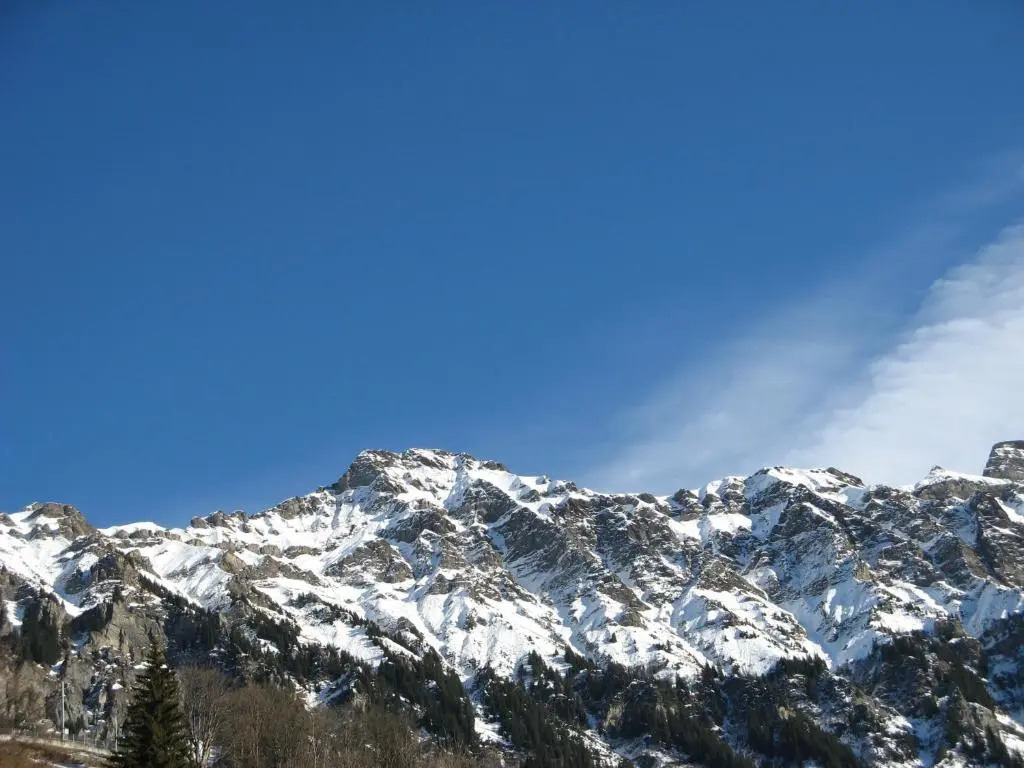 Swiss Lodge Hotel Bernerhof