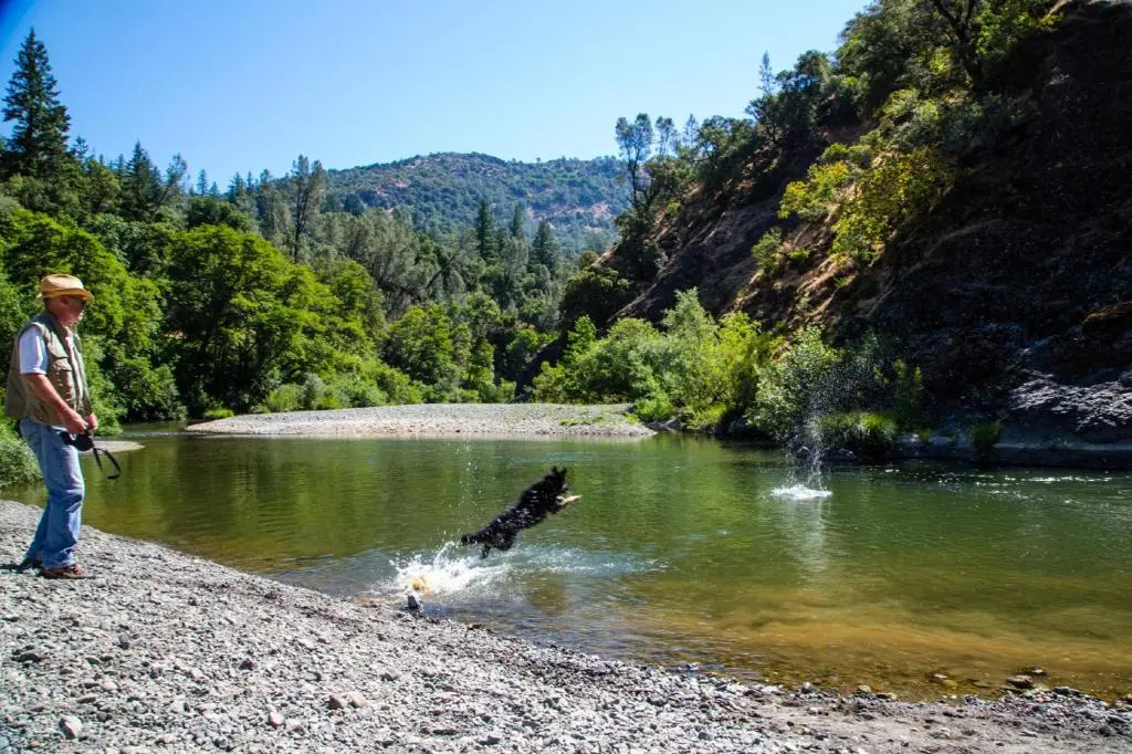 Russian River Camping Resort Studio Cabin 4
