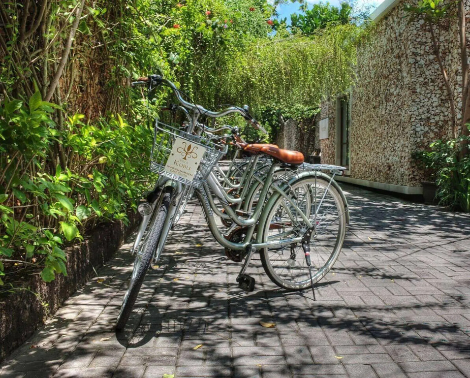 Villa Kubu, Seminyak