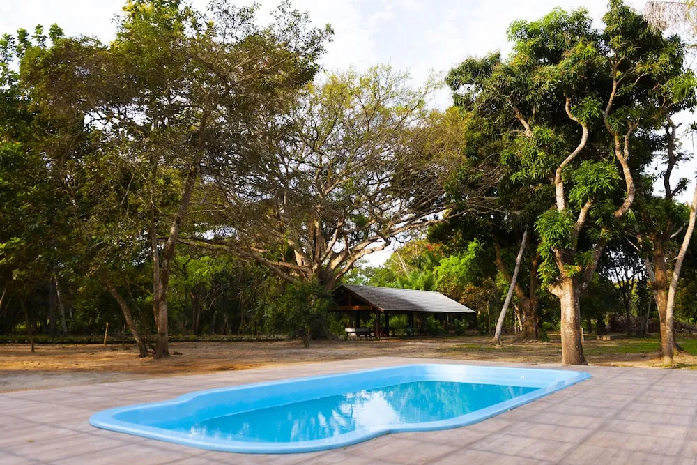 Porto Jofre Pantanal