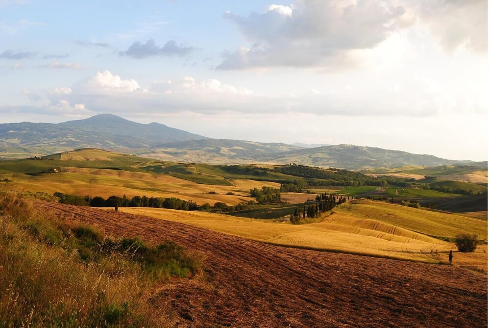 Stunning Home in Vivo D'orcia With Wifi and 2 Bedrooms