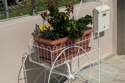 Studio Nikos