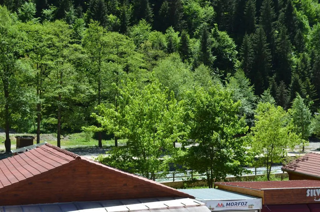 Ecrin Hotel Uzungol