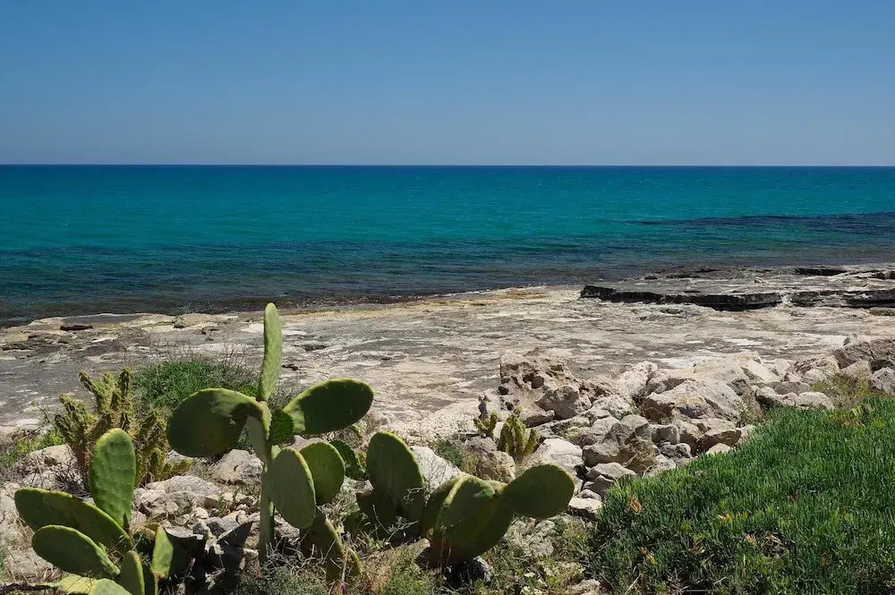 Cala Sol - Giglio