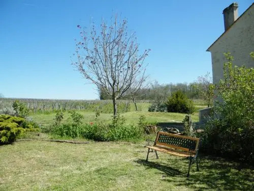 Clos Vieux Rochers Vineyard