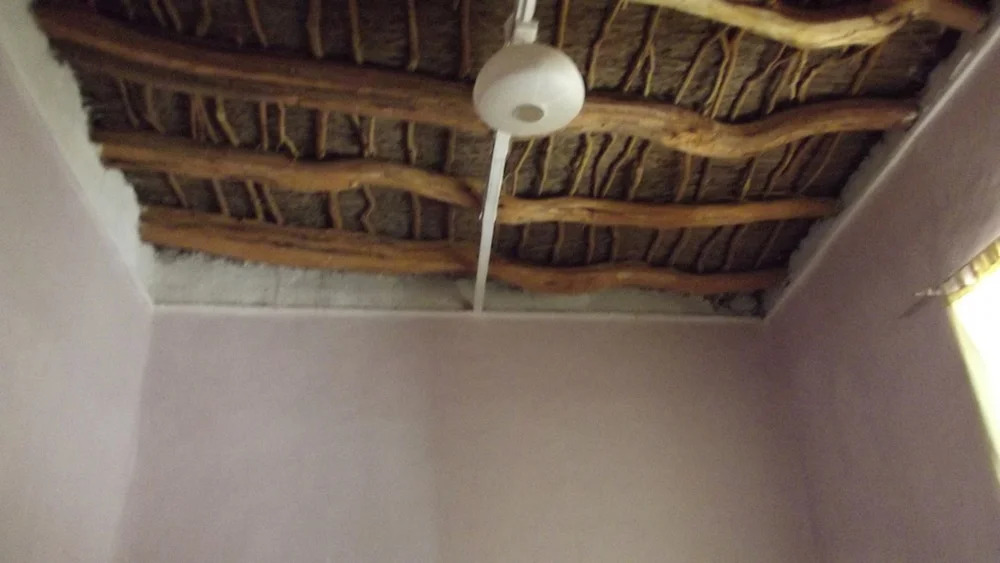 Hostal Pangea