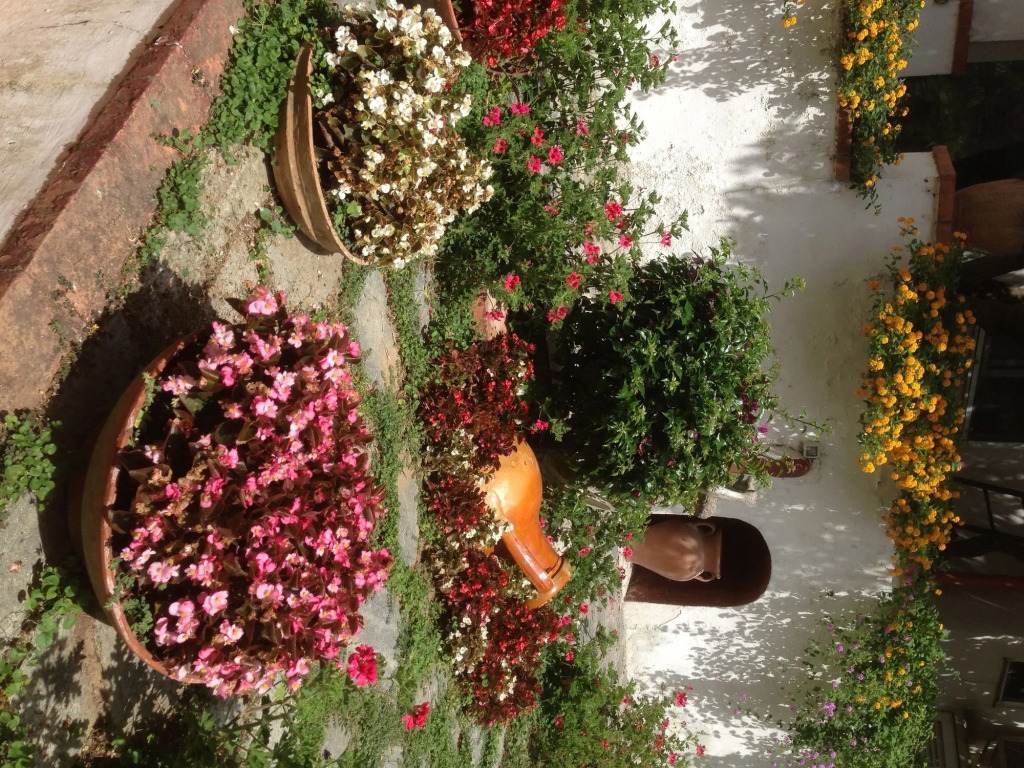 Mediterraneo Guest House