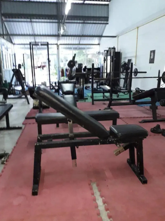 Jungle Gym & Eco Lodge - Hostel