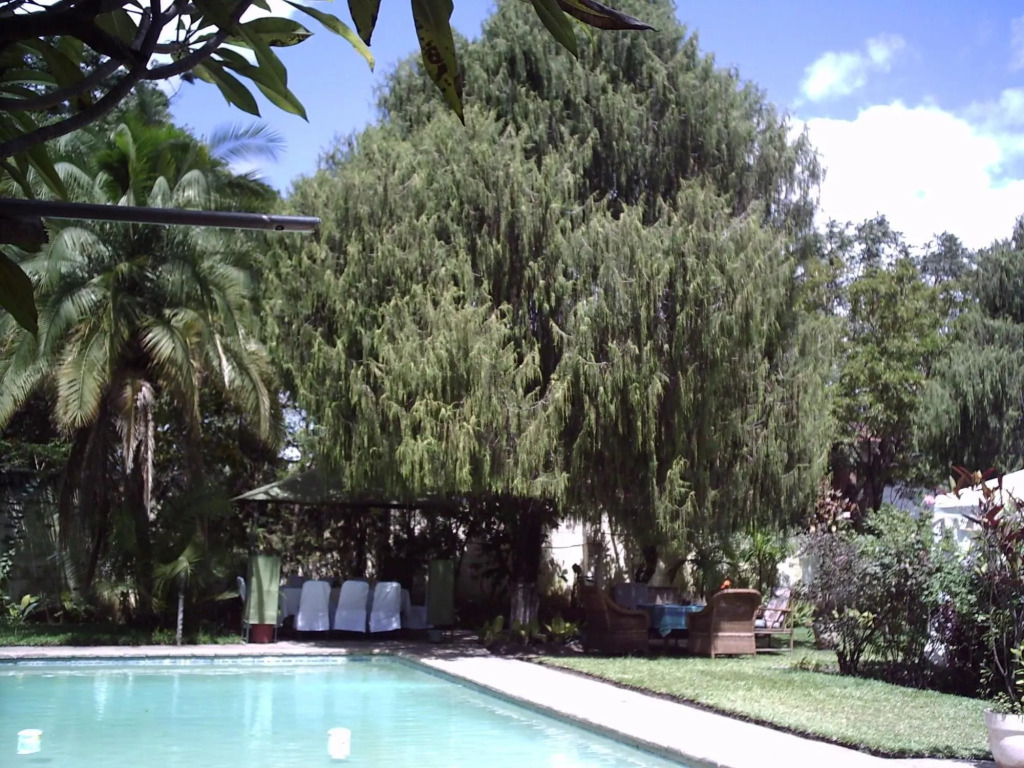 Nena Guest House