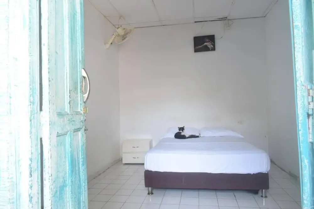 Mango Tree Hostel CTG 420