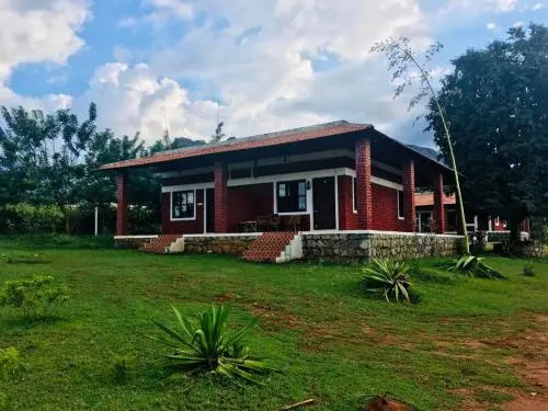 Jungle Inn Resorts