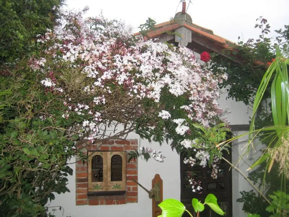 Casas Rurales Pradina I y II