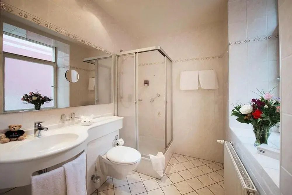 Hotel Schweizer Hof - Superior