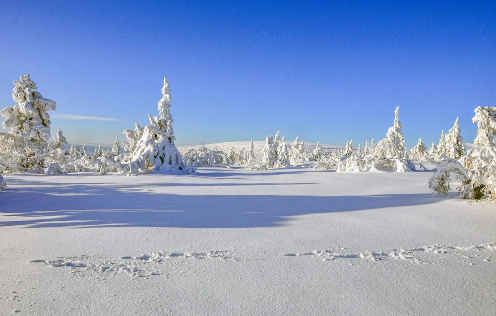 Amazing Home in Sälen With 3 Bedrooms and Sauna