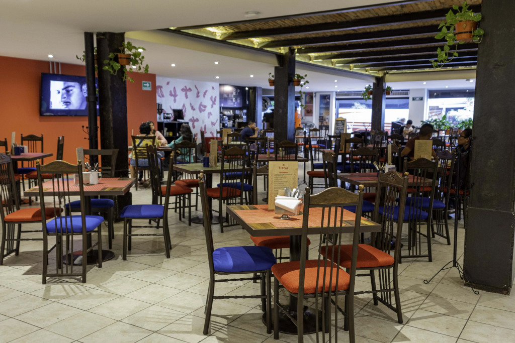 Hotel Fenix