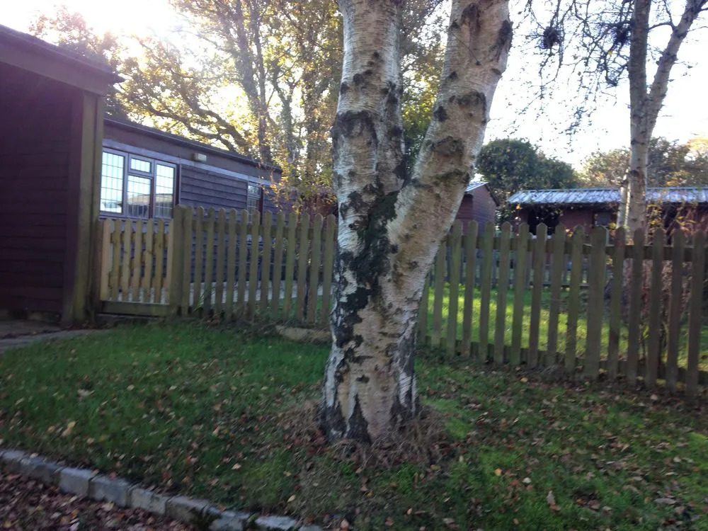 Dallington Lodge