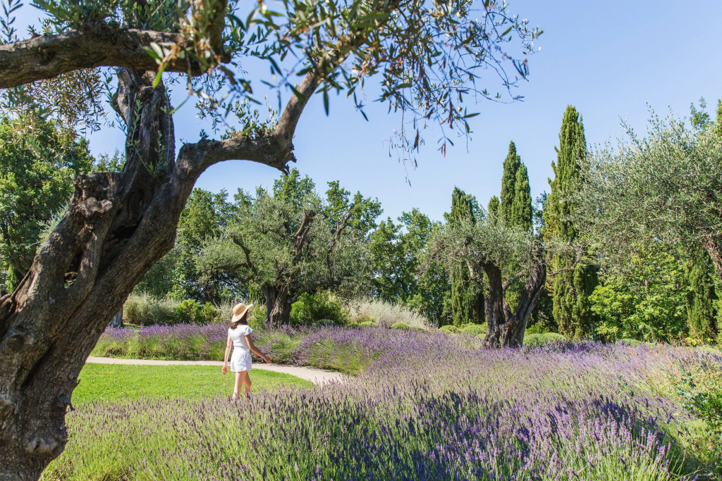 Château Saint-Martin & Spa, Oetker Hotels