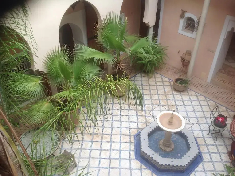 Riad Ija