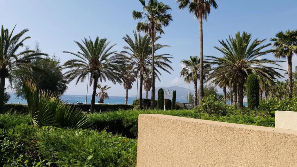 T2 rez de jardin front de mer