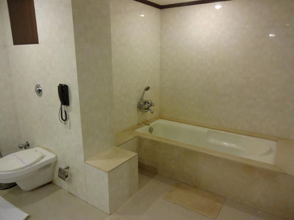 The Hotel Hindusthan International